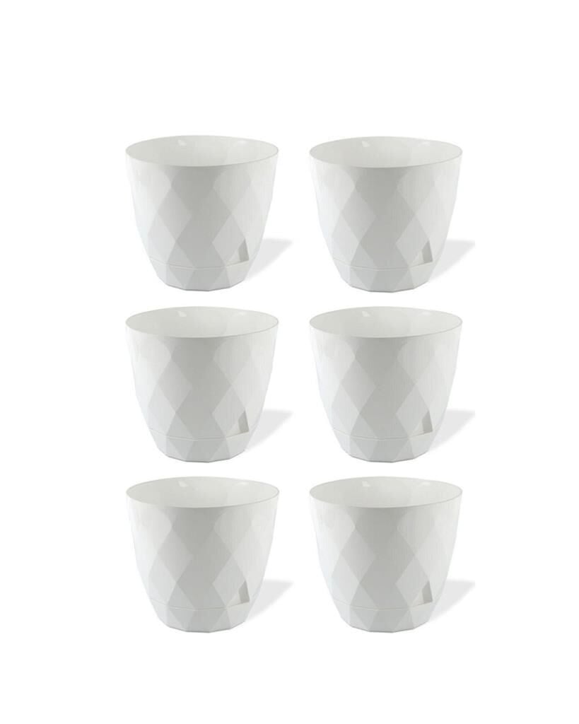 Omnipazar KRS-450 Yakamoz Tabaklı Plastik Saksı Takımı 0.3 lt Beyaz 6 Adet