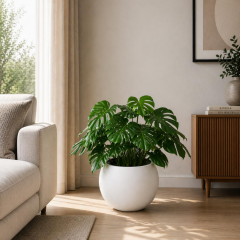 Omnipazar SO-KURS2 Dekoratif Küre Yuvarlak Saksı İç Kovalı 25 litre No: 2