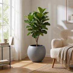 Omnipazar SO-KURS3 Küre Dekoratif Yuvarlak İç Kovalı Saksı 62 Litre No: 3 Antrasit (116)