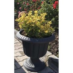 Omnipazar SO-N003 Nergiz Dekoratif Dış Mekan Saksı 47 lt Antrasit 3 Adet