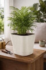 Omnipazar SO-ZB04 Zambak Dekoratif Plastik Saksı 5.6 Litre No:4