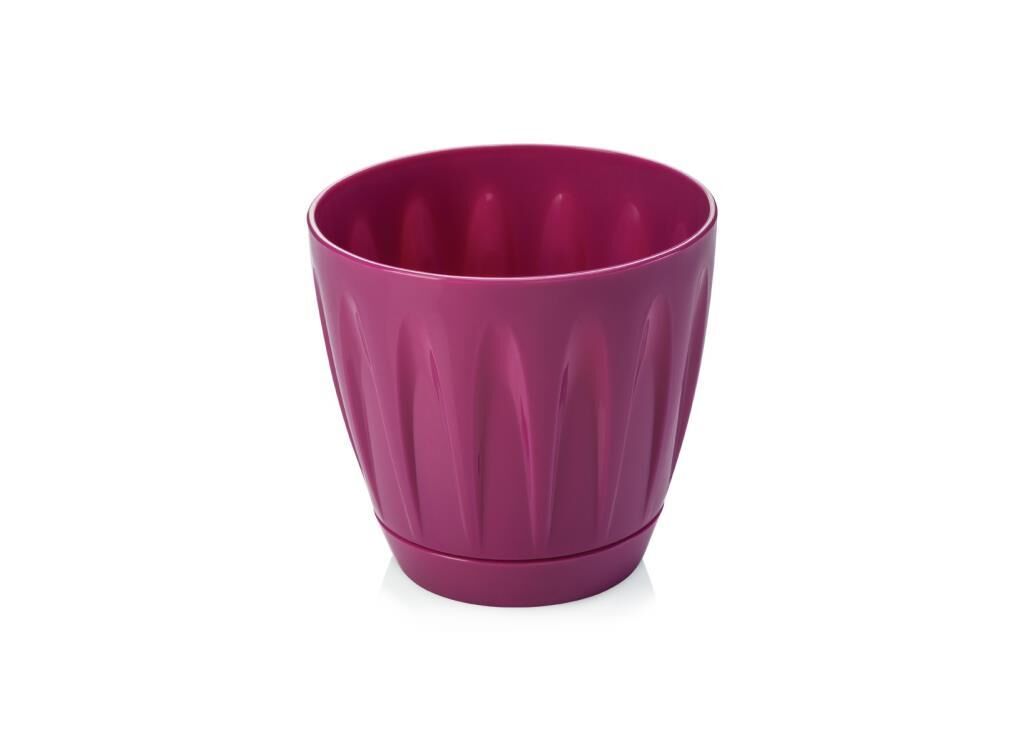 Omnipazar SO-P001 Papatya Saksı Takım 0,7 Litre No 1 Vişne (102)