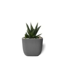 Omnipazar KRS-381 Dekoratif Plastik Mercan Kare Saksı 0.27 Litre No 1