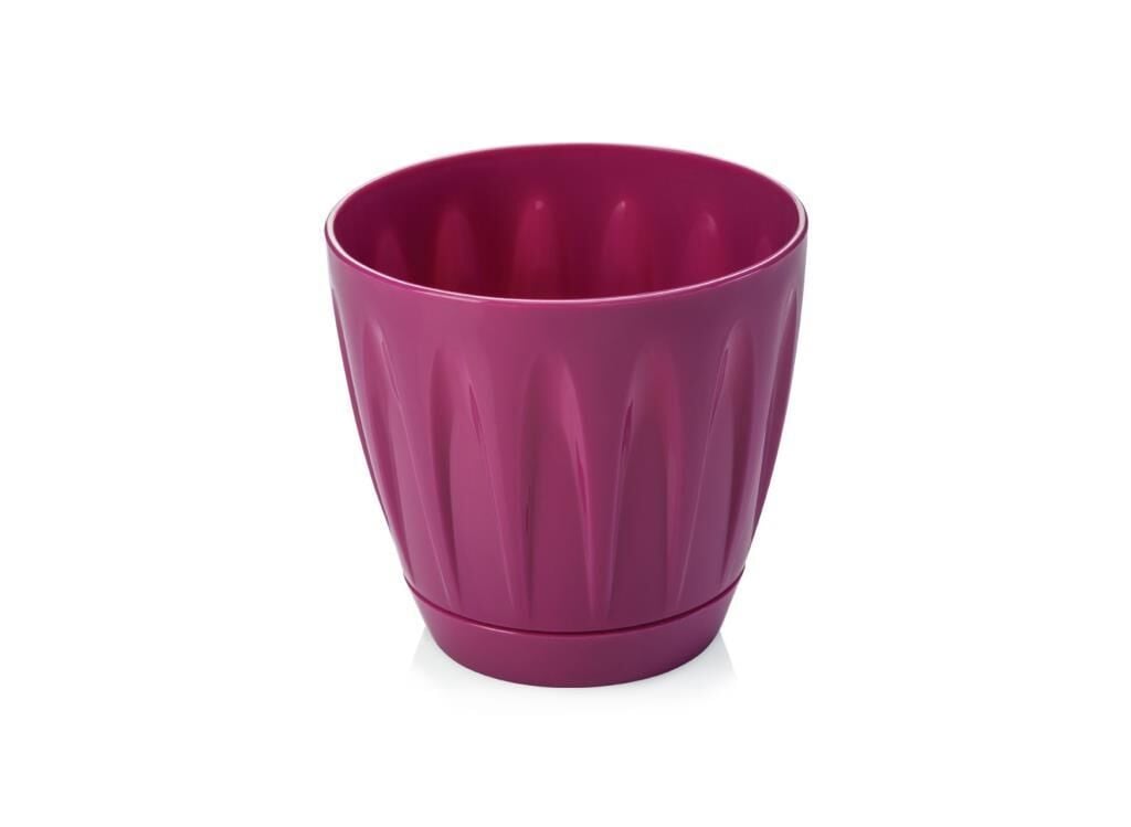 Omnipazar SO-P002 Papatya Saksı Takım 1,5 Litre No 2 Vişne (102)