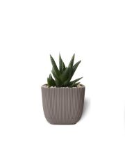 Omnipazar KRS-381 Dekoratif Plastik Mercan Kare Saksı 0.27 Litre No 1 Kahverengi