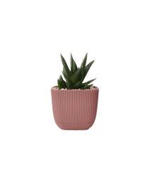 Omnipazar KRS-381 Dekoratif Plastik Mercan Kare Saksı 0.27 Litre No 1 Soft Pembe