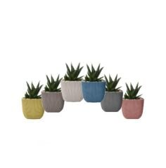 Omnipazar KRS-381 Dekoratif Plastik Mercan Kare Saksı 0.27 lt 6 Renk Set