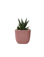 Omnipazar KRS-382 Dekoratif Plastik Mercan Kare Saksı 0.67 Litre No 2