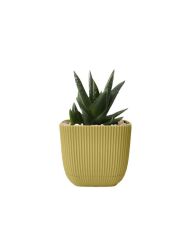 Omnipazar KRS-382 Dekoratif Plastik Mercan Kare Saksı 0.67 Litre No 2 Soft Sarı