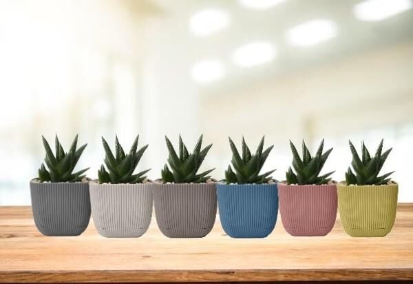 Omnipazar KRS-382 Dekoratif Plastik Mercan Kare Saksı 0.67 lt 6 Renk Set