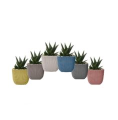 Omnipazar KRS-382 Dekoratif Plastik Mercan Kare Saksı 0.67 lt 6 Renk Set