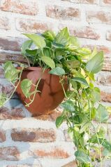 Omnipazar SO-DD03 Dekoratif Damla Duvar Saksı 3.4 Litre Kiremit 6 Adet