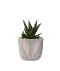 Omnipazar KRS-383 Dekoratif Plastik Mercan Kare Saksı 1.8 Litre No 3 Bej