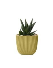 Omnipazar KRS-384 Dekoratif Plastik Mercan Kare Saksı 4 Litre No 4