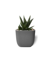 Omnipazar KRS-384 Dekoratif Plastik Mercan Kare Saksı 4 Litre No 4 Antrasit (116)