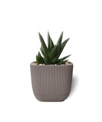 Omnipazar KRS-384 Dekoratif Plastik Mercan Kare Saksı 4 Litre No 4 Kahverengi