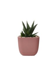 Omnipazar KRS-384 Dekoratif Plastik Mercan Kare Saksı 4 Litre No 4 Soft Pembe