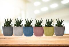 Omnipazar KRS-383 Dekoratif Plastik Mercan Kare Saksı 1.8 lt 6 Renk Set