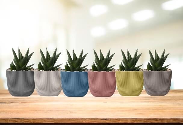 Omnipazar KRS-384 Dekoratif Plastik Mercan Kare Saksı 4 lt 6 Renk Set