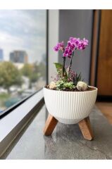 Omnipazar ELF-494 Dekoratif Ayaklı Nostalji Saksı 2.8 lt Beyaz