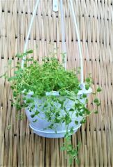 Omnipazar SO-SM03 Safir Makrome Askılı Balkon Saksı 6 lt Beyaz 6 Adet