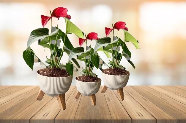 Omnipazar ELF 3 Boy Dekoratif Ayaklı Nostalji Saksı Takımı Bej