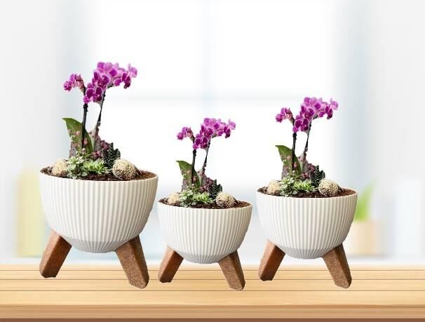 Omnipazar ELF 3 Boy Dekoratif Ayaklı Nostalji Saksı Takım Beyaz