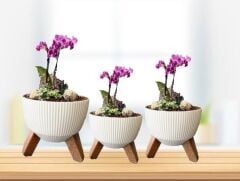 Omnipazar ELF 3 Boy Dekoratif Ayaklı Nostalji Saksı Takım Beyaz