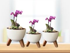 Omnipazar ELF- 3 Boy Dekoratif Ayaklı Nostalji Saksı Takım Beyaz