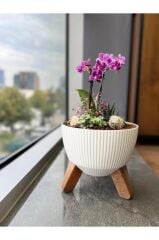 Omnipazar ELF-496 Dekoratif Ayaklı Nostalji Saksı 9 lt Beyaz 5 Adet