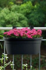 Omnipazar KRS-350 Dekoratif Plastik İnci Askılı Balkon Saksı 6.2 Litre Antrasit (116)