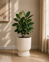 Omnipazar SO-LTSA03 Lotus Ayaklı Plastik Vazo Çiçek Saksı 10,5 Litre No: 3 Bej