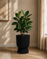 Omnipazar SO-LTSA03 Lotus Ayaklı Plastik Vazo Çiçek Saksı 10,5 Litre No: 3 Siyah