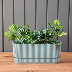 Omnipazar KRS-246 Pera Uzun Dekoratif Balkon Saksı 3 Litre No 2