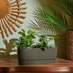 Omnipazar KRS-246 Pera Uzun Dekoratif Balkon Saksı 3 Litre No 2