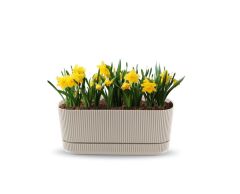 Omnipazar KRS-246 Pera Uzun Dekoratif Balkon Saksı 3 Litre No 2 Bej