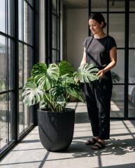 Omnipazar SO-PALM3 Palmiye Dekoratif Plastik Saksı İç Kovalı 30 LT NO: 3 Siyah