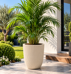 Omnipazar SO-PALM3 Palmiye Dekoratif Plastik Saksı İç Kovalı 30 LT NO: 3 Krem