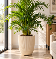 SO-PALM3 Palmiye Dekoratif Plastik Saksı İç Kovalı 30 LT Krem 4 Adet