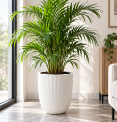 SO-PALM3 Palmiye Dekoratif Plastik Saksı İç Kovalı 30 LT Beyaz 4 Adet