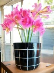 Omnipazar KRS-211 Dekoratif Karo Desenli Saksı 1.4 Litre No 1