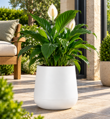 Omnipazar SO-ATL04 Atlas Dekoratif Plastik Modern Saksı 7 LT No: 4 Beyaz