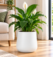 SO-ATL04 Atlas Dekoratif Plastik Modern Saksı 7 LT Beyaz 3 Adet