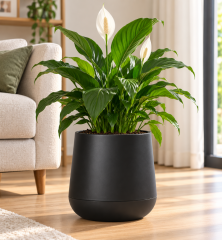 SO-ATL04 Atlas Dekoratif Plastik Modern Saksı 7 LT Siyah 3 Adet