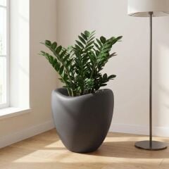 SO-LALE02 Lale Saksı Plastik Modern İç Kovalı 25 LT Antrasit 3 Adet