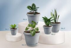 Omnipazar KRS Dekoratif İnci Bitki Çiçek Saksı Takımı 5'li Set Gri