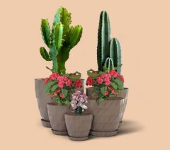 Omnipazar SO-KRT Dekoratif Kristal Saksı Takımı 5'li Set Mocha