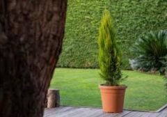 Omnipazar SO-VHS7 Dekoratif Vaha Saksı İç ve Dış Mekan 31 lt Kiremit 5 Adet