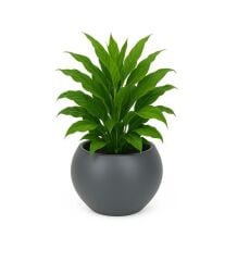 Omnipazar SO-KURS1 Dekoratif Modern Yuvarlak Küre Saksı 7.5 litre No 1