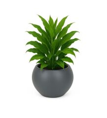 Omnipazar SO-KURS1 Dekoratif Modern Yuvarlak Küre Saksı 7.5 litre No 1